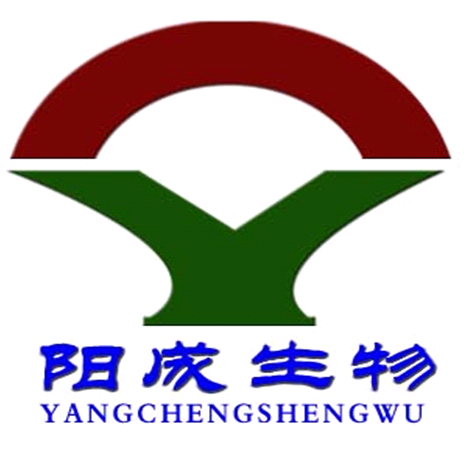 招聘者头像